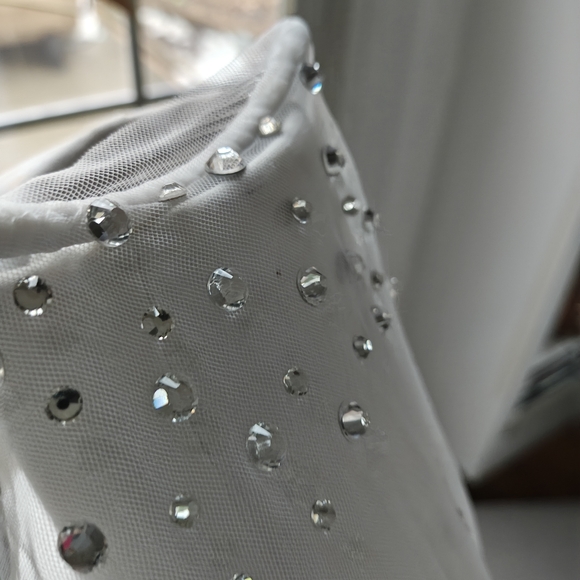Elegant Off White Beaded Bridal Veil main image 8